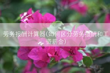 劳务报酬计算器(如何区分劳务报酬和工资薪金)