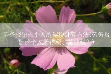 劳务报酬的个人所得税计算方法(劳务报酬的个人所得税、营业税？)