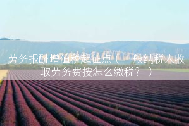 劳务报酬增值税起征点（一般纳税人收取劳务费按怎么缴税？）