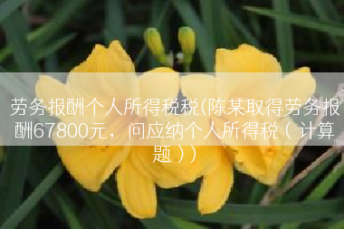 劳务报酬个人所得税税(陈某取得劳务报酬67800元，问应纳个人所得税（计算题）)
