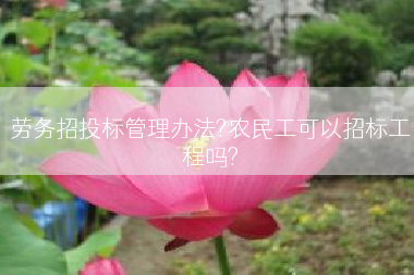 劳务招投标管理办法?农民工可以招标工程吗?