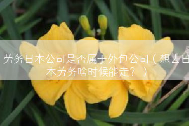 劳务日本公司是否属于外包公司（想去日本劳务啥时候能走？）