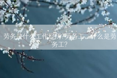 劳务是什么工作经历?劳务工，什么是劳务工?