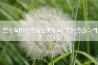 劳务有限公司需要资质吗?工程劳务公司是干啥的?