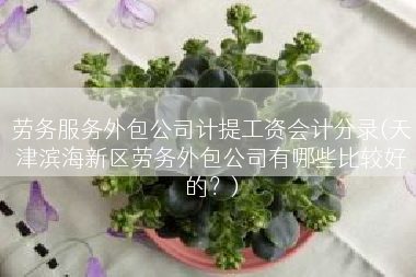 劳务服务外包公司计提工资会计分录(天津滨海新区劳务外包公司有哪些比较好的？)