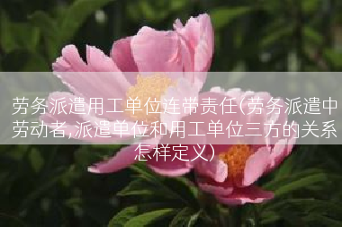 劳务派遣用工单位连带责任(劳务派遣中劳动者,派遣单位和用工单位三方的关系怎样定义)