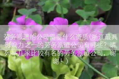 劳务派遣的公司需要什么资质(浙江最具影响力之一的劳务派遣公司有哪些？请列举几家比较有名的劳务派遣公司，谢谢！)
