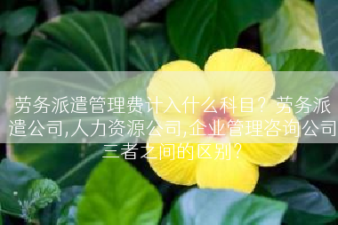 劳务派遣管理费计入什么科目？劳务派遣公司,人力资源公司,企业管理咨询公司三者之间的区别？