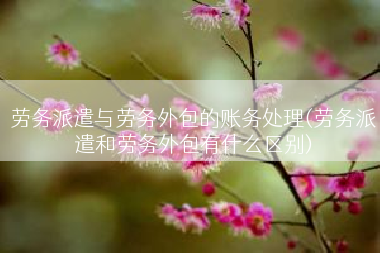 劳务派遣与劳务外包的账务处理(劳务派遣和劳务外包有什么区别)