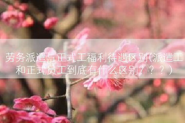 劳务派遣与正式工福利待遇区别(派遣工和正式员工到底有什么区别？？？)