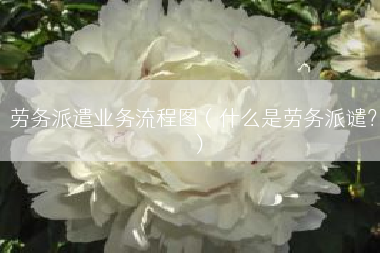 劳务派遣业务流程图（什么是劳务派谴？）