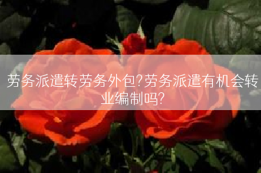 劳务派遣转劳务外包?劳务派遣有机会转业编制吗?