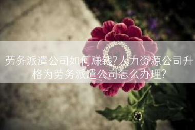 劳务派遣公司如何赚钱?人力资源公司升格为劳务派遣公司怎么办理?