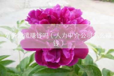 劳务派遣赚钱吗（人力中介公司怎么赚钱）