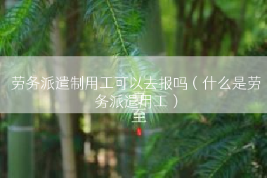 劳务派遣制用工可以去报吗（什么是劳务派遣用工）