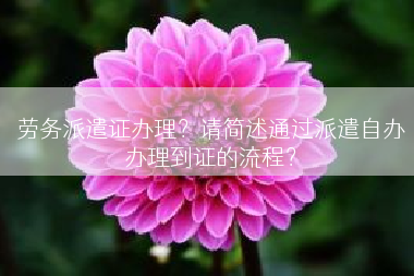 劳务派遣证办理？请简述通过派遣自办办理到证的流程？
