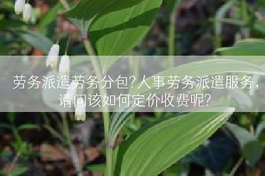 劳务派遣劳务分包?人事劳务派遣服务，请问该如何定价收费呢?