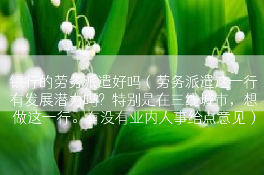 银行的劳务派遣好吗（劳务派遣这一行有发展潜力吗？特别是在三线城市，想做这一行。有没有业内人事给点意见）