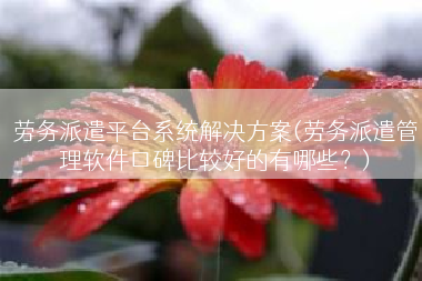 劳务派遣平台系统解决方案(劳务派遣管理软件口碑比较好的有哪些？)