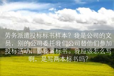 劳务派遣投标标书样本？我是公司的文员，别的公司委托我们公司替他们参加投标活动，要我写标书。我应该怎么写啊，是写两本标书吗？