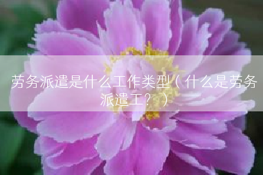 劳务派遣是什么工作类型（什么是劳务派遣工？）