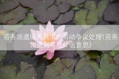 劳务派遣服务员工的劳动争议处理(劳务派遣到底是什么意思)