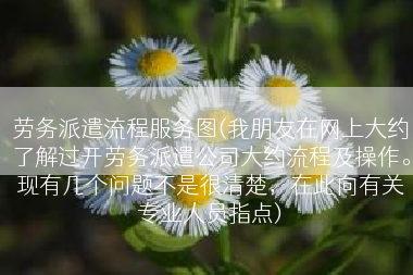 劳务派遣流程服务图(我朋友在网上大约了解过开劳务派遣公司大约流程及操作。现有几个问题不是很清楚，在此向有关专业人员指点)