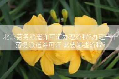 北京劳务派遣许可证办理流程?办理一个劳务派遣许可证 需要哪些流程?