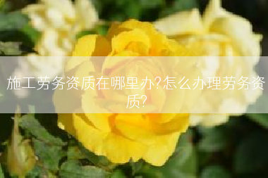 施工劳务资质在哪里办?怎么办理劳务资质?