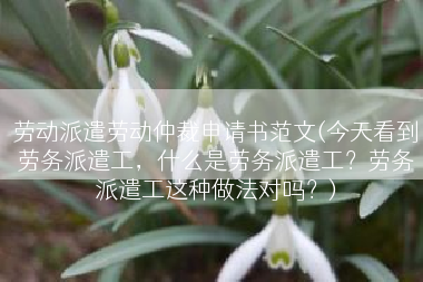 劳动派遣劳动仲裁申请书范文(今天看到劳务派遣工，什么是劳务派遣工？劳务派遣工这种做法对吗？)