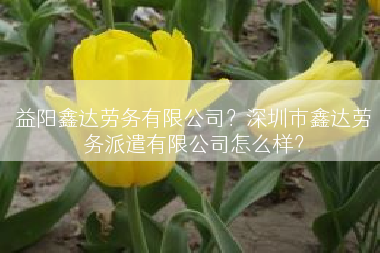 益阳鑫达劳务有限公司？深圳市鑫达劳务派遣有限公司怎么样？