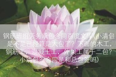 钢筋班组劳务承包合同百度文库(小清包是不是已经算是大包了？下面的木工，钢筋工，混凝土工，外架工属于二包？小清包签合同是和总包签吗)