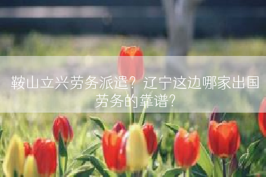 鞍山立兴劳务派遣？辽宁这边哪家出国劳务的靠谱？