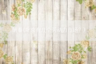萌泰(北京有几个劳动力市场？)