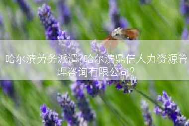 哈尔滨劳务派遣?哈尔滨鼎信人力资源管理咨询有限公司?