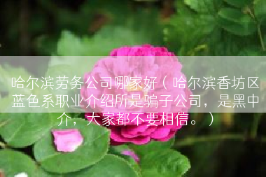 哈尔滨劳务公司哪家好（哈尔滨香坊区蓝色系职业介绍所是骗子公司，是黑中介，大家都不要相信。）