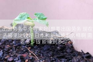 出国劳务中介哪家好(想要出国劳务 现在去哪里比较好 日本和新加坡怎么样啊 需要多少钱 能赚到多少？)