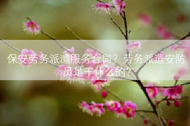 保安劳务派遣服务合同？劳务派遣安防员是干什么的？