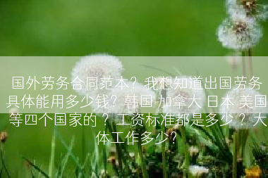 国外劳务合同范本？我想知道出国劳务具体能用多少钱？韩国 加拿大 日本 美国 等四个国家的 ？工资标准都是多少 ？大体工作多少？