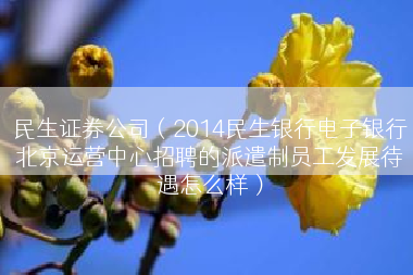 民生证券公司（2014民生银行电子银行北京运营中心招聘的派遣制员工发展待遇怎么样）