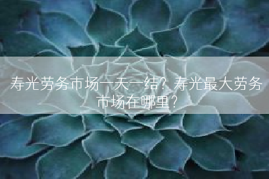 寿光劳务市场一天一结？寿光最大劳务市场在哪里？