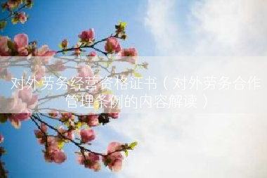 对外劳务经营资格证书（对外劳务合作管理条例的内容解读）