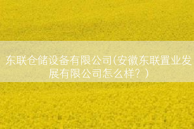 东联仓储设备有限公司(安徽东联置业发展有限公司怎么样？)