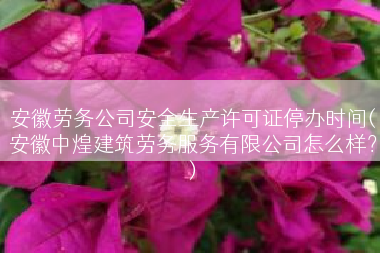 安徽劳务公司安全生产许可证停办时间(安徽中煌建筑劳务服务有限公司怎么样？)