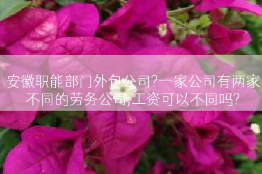 安徽职能部门外包公司?一家公司有两家不同的劳务公司,工资可以不同吗?