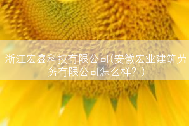 浙江宏鑫科技有限公司(安徽宏业建筑劳务有限公司怎么样？)