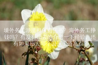 境外务工派遣担保责任书？海外务工挣钱吗？有没有出去的介绍一下经验，还有如果出去哪个国家工资高点？