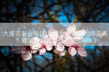 大连劳务公司(在大连如何办理出国劳务？哪家好呢？价位在多少呢？)