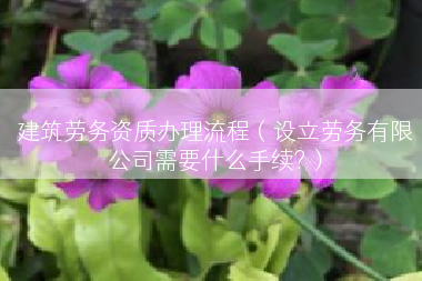 建筑劳务资质办理流程（设立劳务有限公司需要什么手续?）