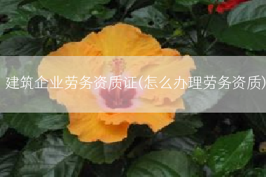 建筑企业劳务资质证(怎么办理劳务资质)